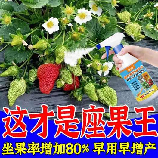 栾川县草莓肥料专用肥营养液生长坐果期膨果增甜专用有机肥料催花座果素