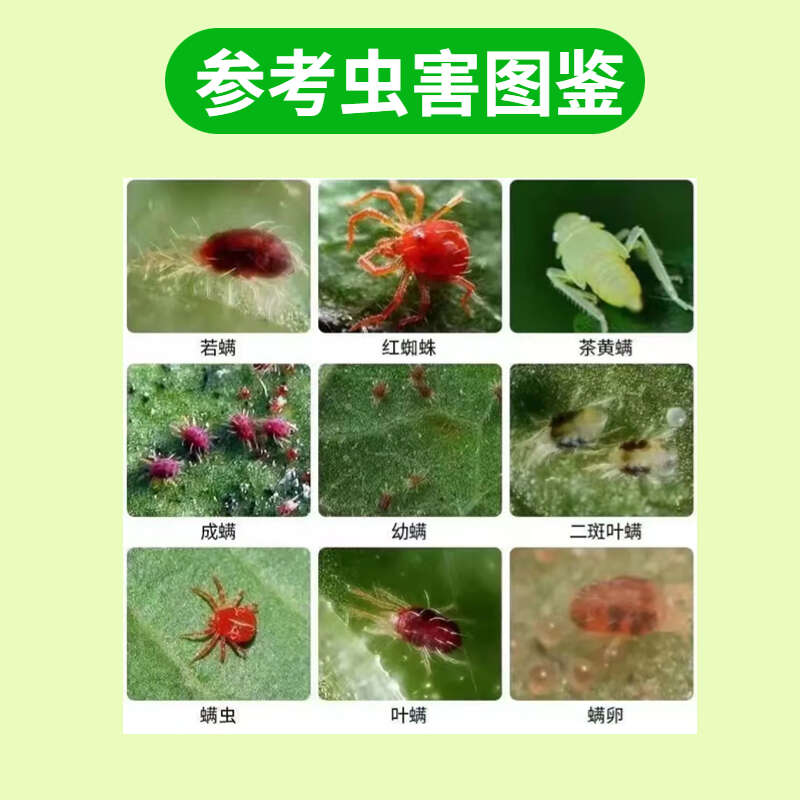阿维哒螨灵红蜘蛛防治柑橘果树茶黄螨叶螨锈壁虱跳甲杀虫杀螨剂