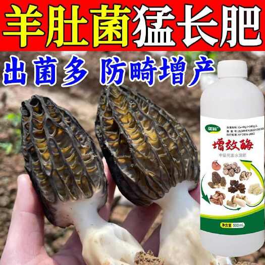 栾川县羊肚菌专用肥料增效酶催菇宝壮菇增产增收抗病营养液羊肚菌外援肥