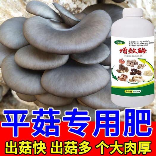 栾川县平菇专用叶面肥食用菌增效酶增黑增厚剂增产营养液催蕾催菇催长剂