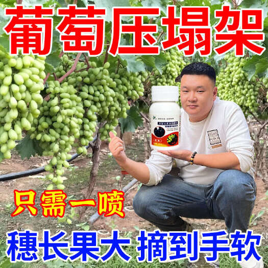 栾川县葡萄花序拉长剂葡萄拉穗剂催花座果彭果防裂果增甜着色防大小果