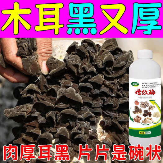 木耳增厚专用肥料耳面黑亮防流耳促长增产抗病害食用菌稳质增效酶