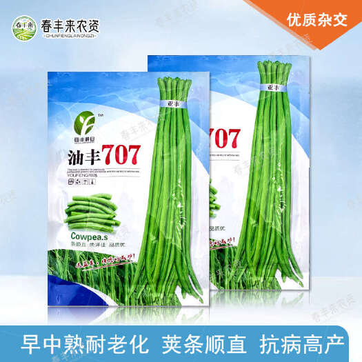临沂江西油丰707长豆角种子早中熟豇豆种荚条油绿顺直不露仁耐老化