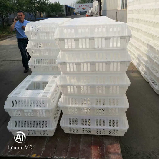 诸城市运输鸭笼 鸭子转运笼 塑料鸭筐元宝筐