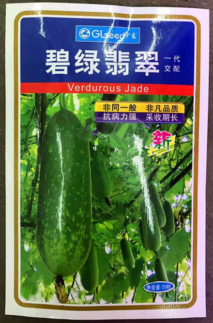 碧绿翡翠节瓜种子，抗病中熟，多仔瓜，采收期长，基地种植