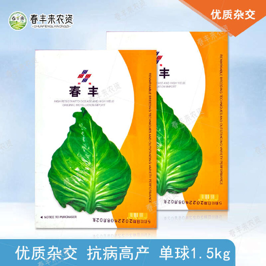 原装春丰 超耐低温 牛心甘蓝包菜 甜脆 春秋冬种植卷心菜蔬菜