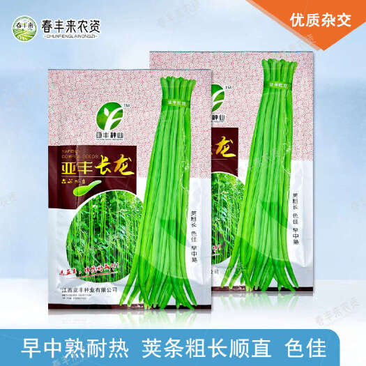 亚丰长龙豇豆种子荚粗长色佳中早熟荚长约82-102cm