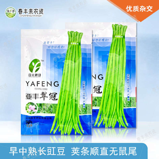 江西亚丰翠冠豆角种早中熟翠绿色荚条顺直无鼠尾高产耐贮运