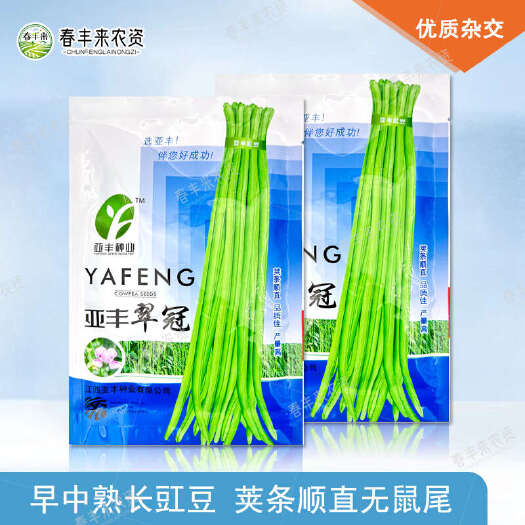临沂江西亚丰翠冠豆角种早中熟翠绿色荚条顺直无鼠尾高产耐贮运