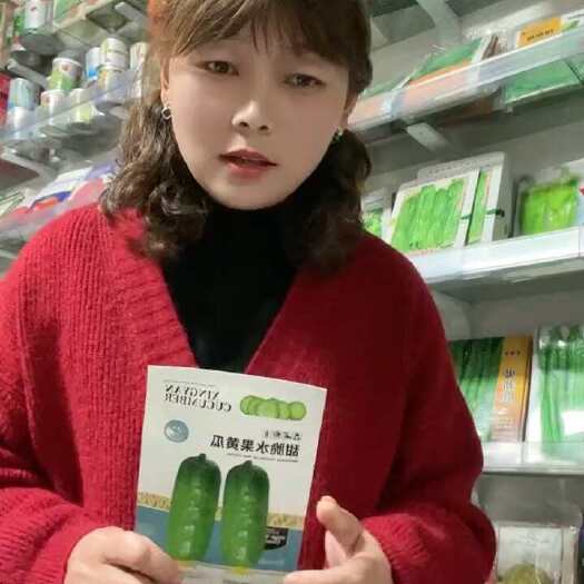  水果黄瓜种子
