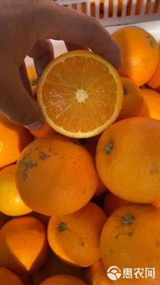 【鲜榨商用果】鲜榨橙汁儿新鲜看的见，橙香浓，汁水多，常年供应
