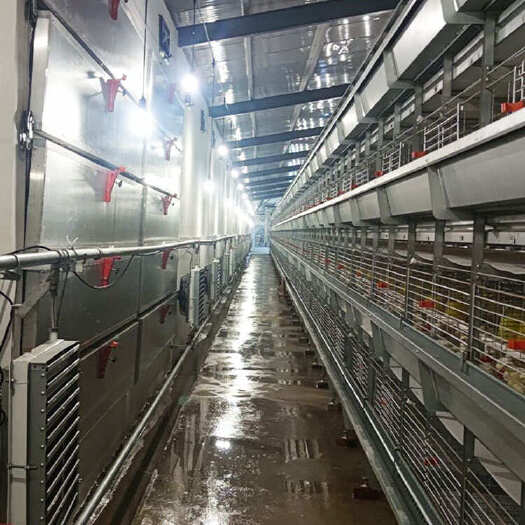 荥阳市养鸡大棚 一万只蛋鸡自动化立式养鸡设备