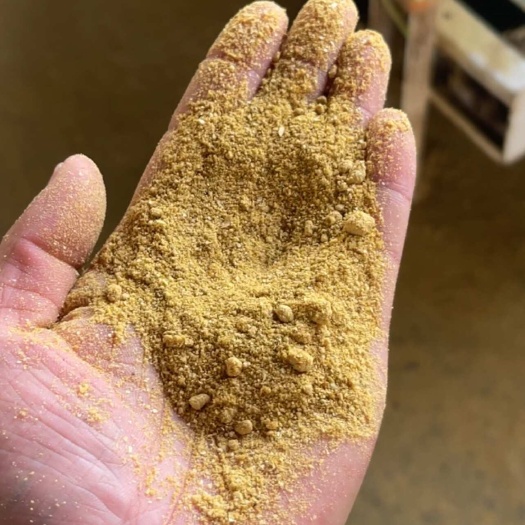 郓城县糖化玉米