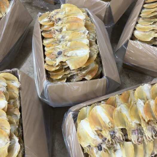 北海墨鱼干厂家批发自家工厂 淡晒墨鱼干各种规格小墨鱼干大墨鱼干