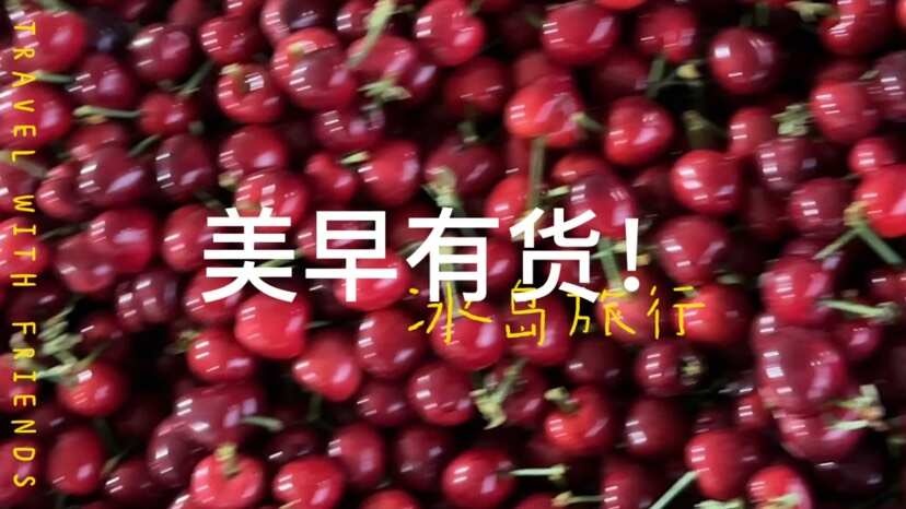安丘市美早有货！
