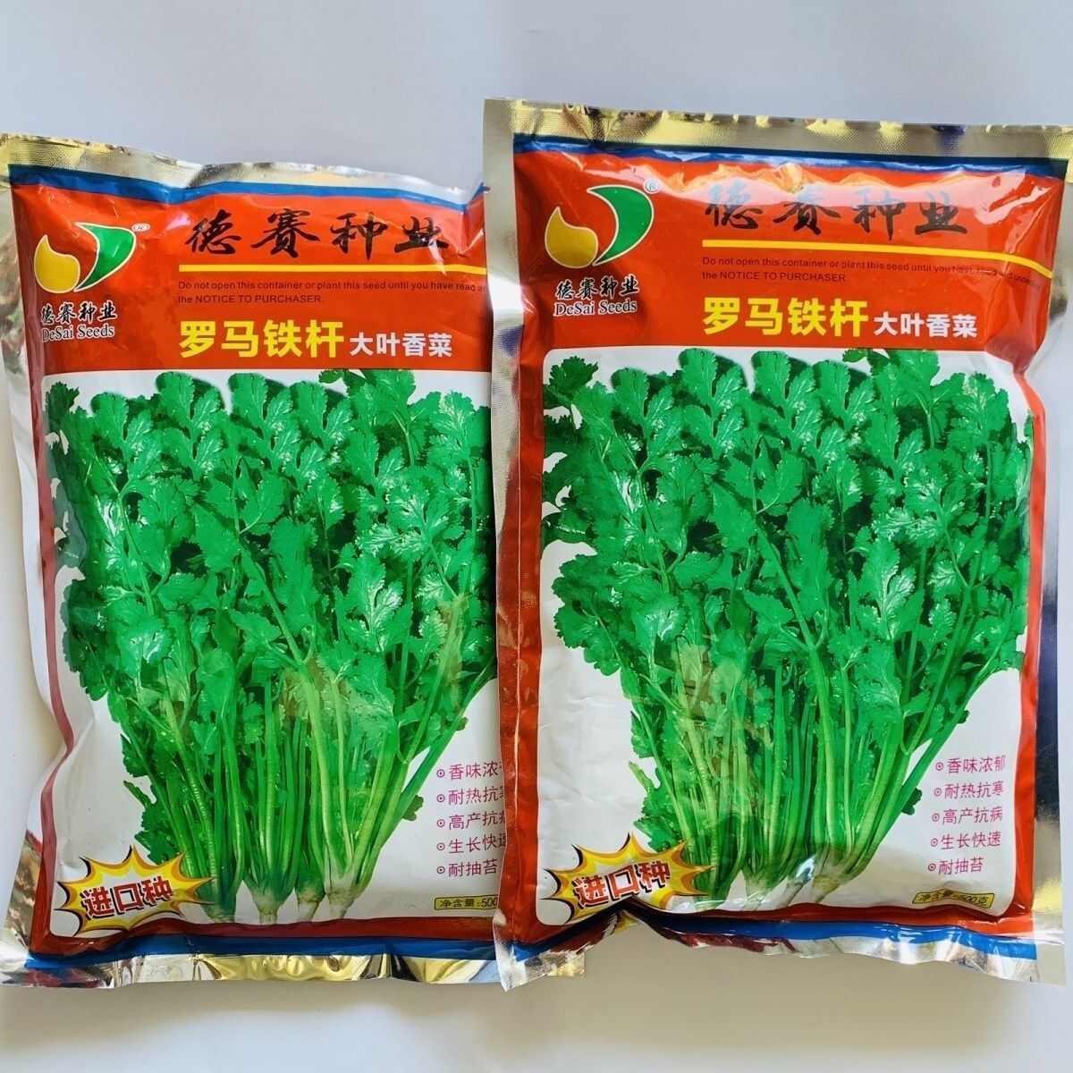 罗马铁杆大叶香菜种子，耐热耐寒，耐抽苔，香味浓郁，可夏播