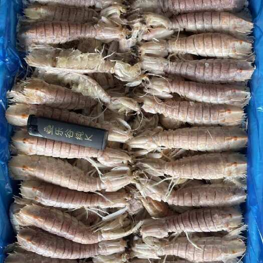 中牟县皮皮虾下料5斤只要40多