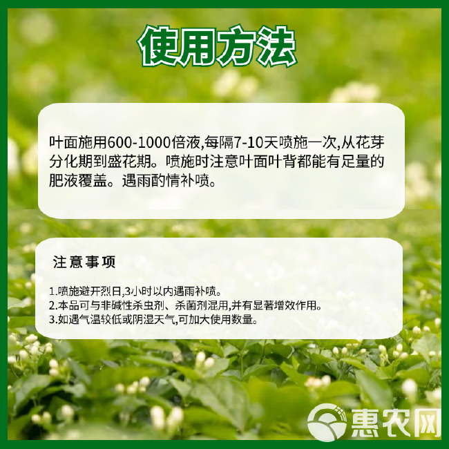 茉莉花满田茉莉专用肥料增产增收多花多蕾朵大饱满防落花茉莉肥料