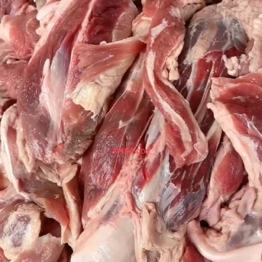 阳信县牛肉筋纯干无油现货实拍手续齐全厂家直销一手货源没有中间商赚差
