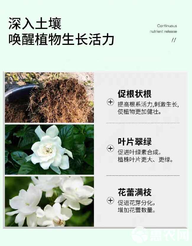 茉莉花满田茉莉专用肥料增产增收多花多蕾朵大饱满防落花茉莉肥料