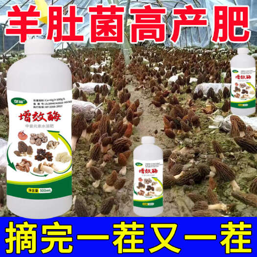 栾川县羊肚菌专用肥料增产素菌菇专用营养液灵芝香菇催蕾催菇抗病增效酶