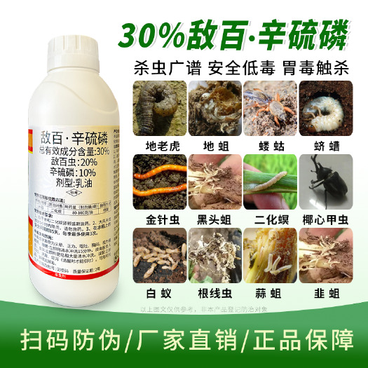 寿光市农药敌百虫辛硫磷杀虫剂土蚕韭蛆蛴螬地老虎蝼蛄地蛆特杀地下害虫