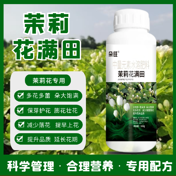 茉莉花满田茉莉专用肥料增产增收多花多蕾朵大饱满防落花茉莉肥料