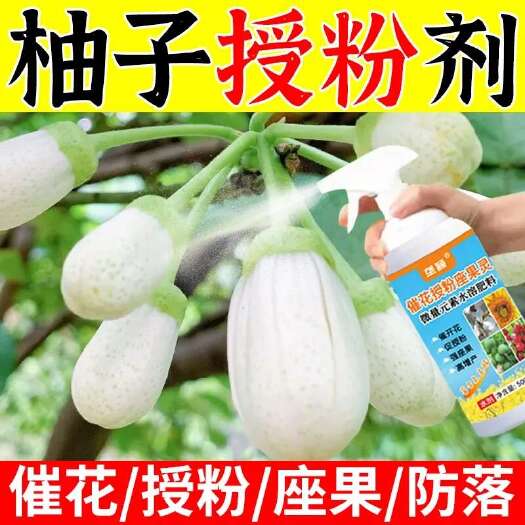 栾川县柚子催花授粉坐果灵柚子树保花保果防落果防裂果树授粉剂专用肥料