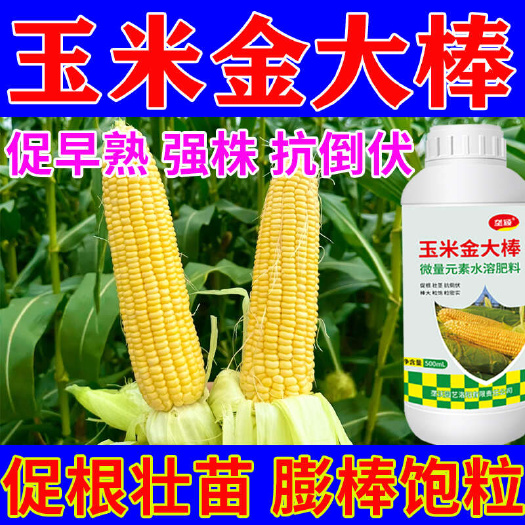 栾川县玉米金大棒有助于玉米杆粗茎粗粒粒饱满快速生长早用早增产