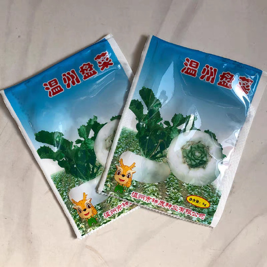 温州盘菜种子，扁圆如盘，细腻致密，抗病，香脆可口，可生食