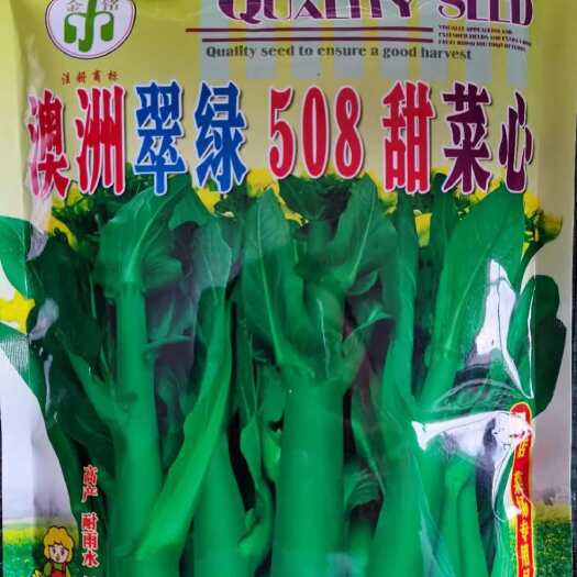 三明澳洲翠绿508甜菜心种子，耐热抗病，耐雨水耐湿，味清甜