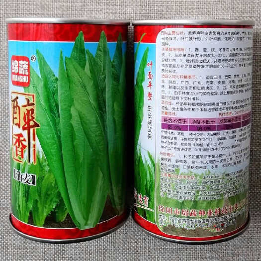 漯河醉香油麦菜种子，早熟抗病，耐热，生长快，口感香脆嫩，基地种植
