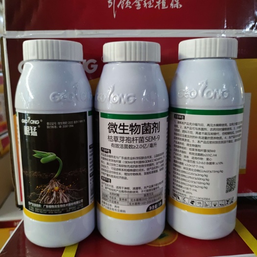 广州根猛微生物菌生根剂促进根系生长植株健壮喷苗床移栽淋根滴灌