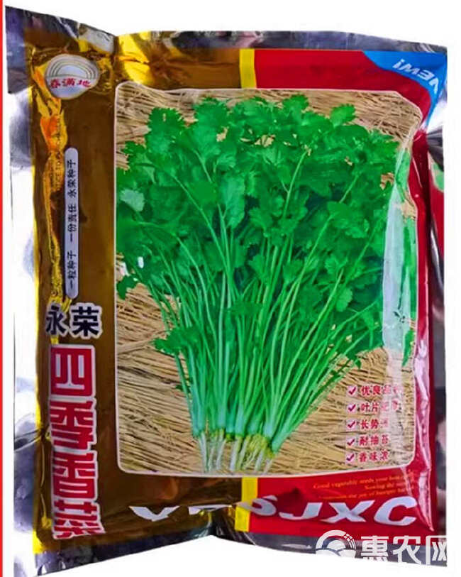 永荣四季香菜种子，叶片肥厚，耐热耐寒，耐抽苔，香味浓，基地用