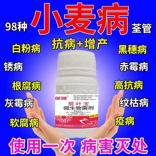 栾川县小麦病全治专用药黄叶病锈病烂根死苗白粉病黑穗病赤霉专用菌剂