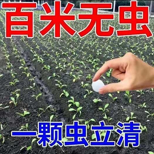 【一片百米无虫】蔬菜地防虫片菜地花卉小黑飞白粉虱蚜虫菜蛾通杀