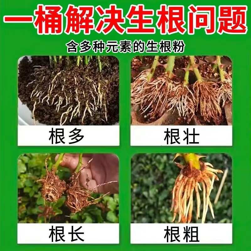 茶树专用生根剂茶叶快速发根茶苗移栽生根粉强力生根壮苗剂防死棵