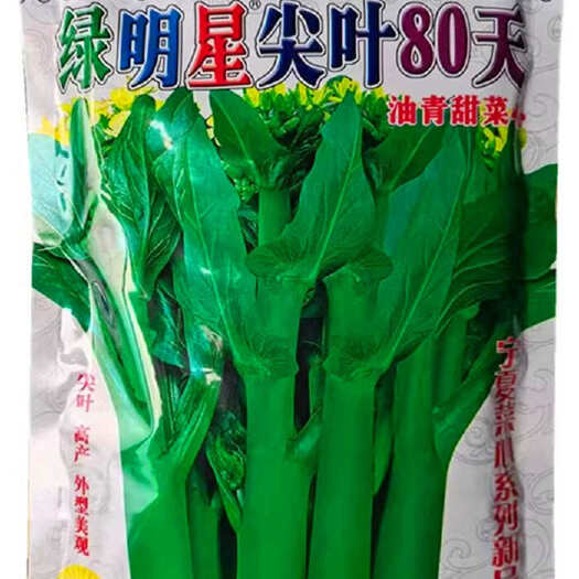 三明绿明星尖叶80天油青甜菜心种子，尖叶，茎苔粗条，甜脆无渣