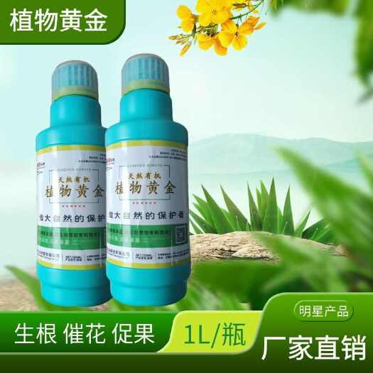 长沙植物黄金