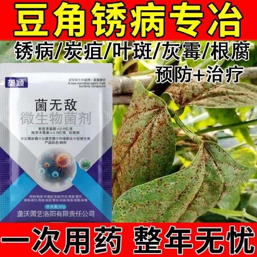 栾川县豆角病全治锈病炭疽杀菌剂叶斑病疫病枯萎根腐病专用
