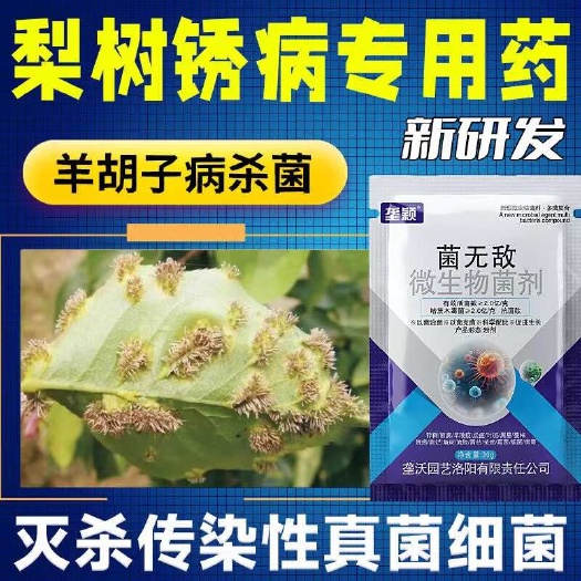 栾川县梨树锈病专用药羊胡子病杀菌梨树病全治黑斑病褐斑病软腐病杀菌剂