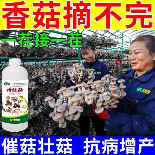 栾川县香菇高产专用肥料家种大棚灵芝香菇木耳增产肥催长促菇膨大增产素