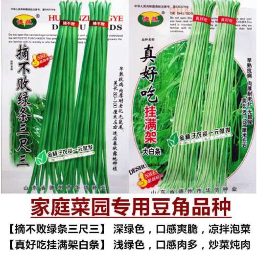 青县豆角种子 彩包蔬菜种子 长豆角 白绿色 摘不败早熟一号