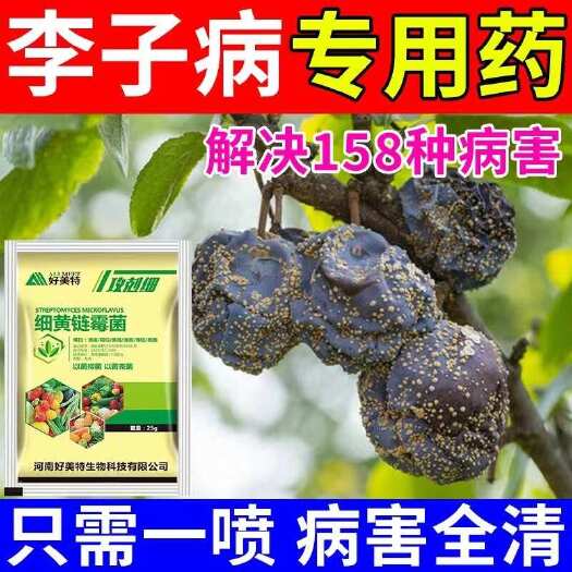 栾川县李子杀菌剂李子树红点病流胶病疮痂病褐腐病炭疽病裂果缩叶病全管
