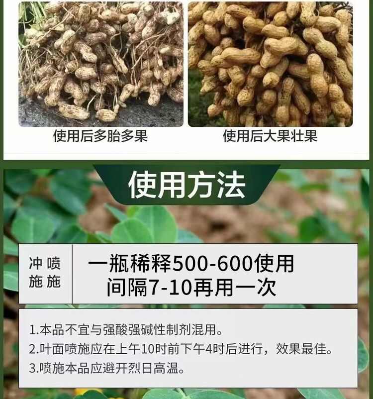 花生饱满粒粒饱膨大控旺分叉多下针多胎花生结果多白果保果高产肥