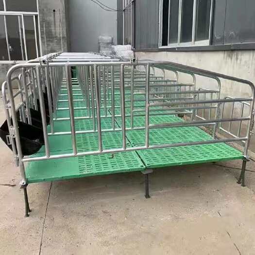 泊头市母猪限位栏