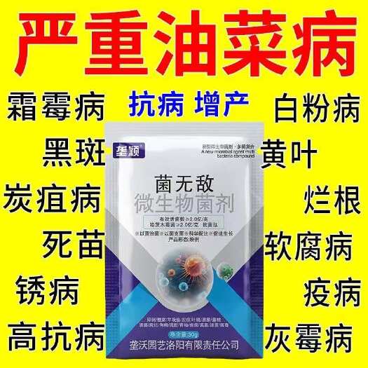栾川县油菜专用药油菜病全治烂根黄叶菌核病软腐病霜霉病灰霉专用杀菌剂
