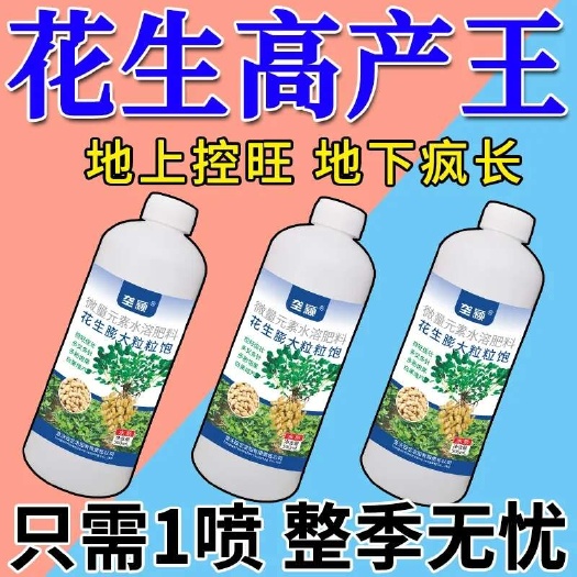 栾川县花生饱满粒粒饱膨大控旺分叉多下针多胎花生结果多白果保果高产肥