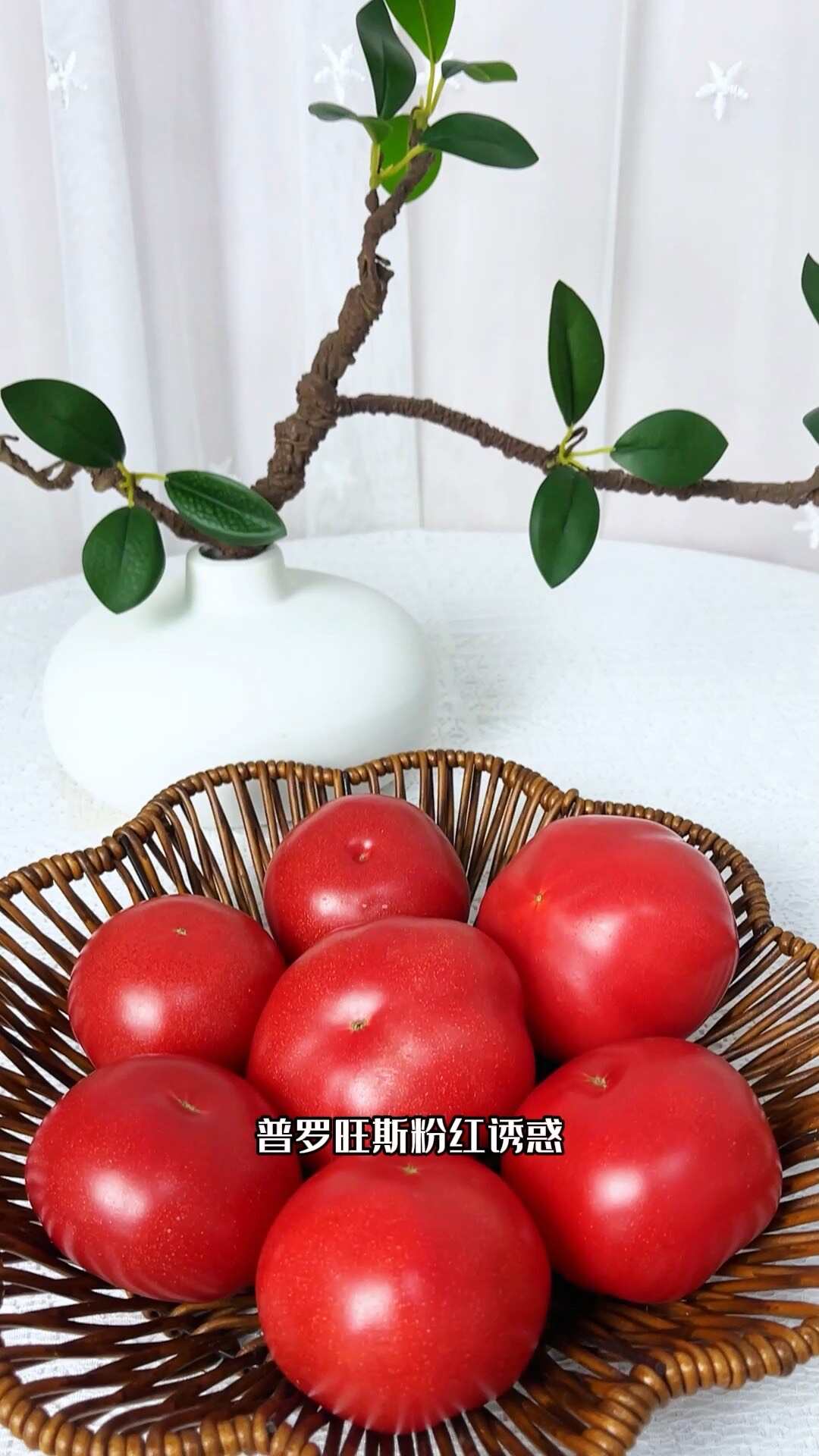 陕西泾阳 普罗旺斯 口感番茄 ，一手货源 ，全国发货