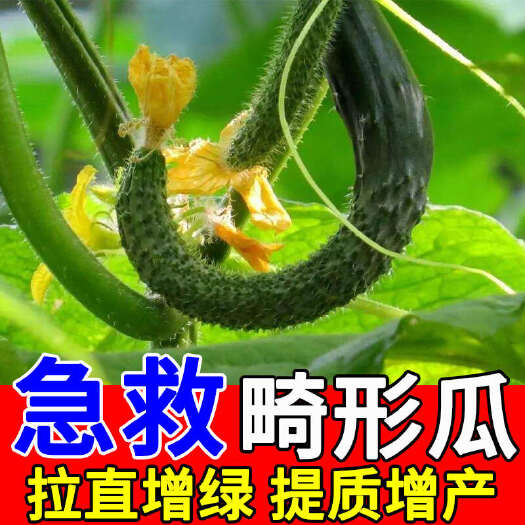 栾川县黄瓜专用肥拉直拉长素防畸形膨大增产增绿素顶花带刺顺直王叶面肥